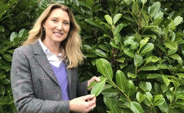 Phát triển nguồn năng lượng mặt trời mới